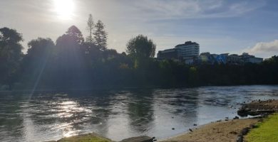Vista de Hamilton en Nueva Zelanda donde Aprender Ingles