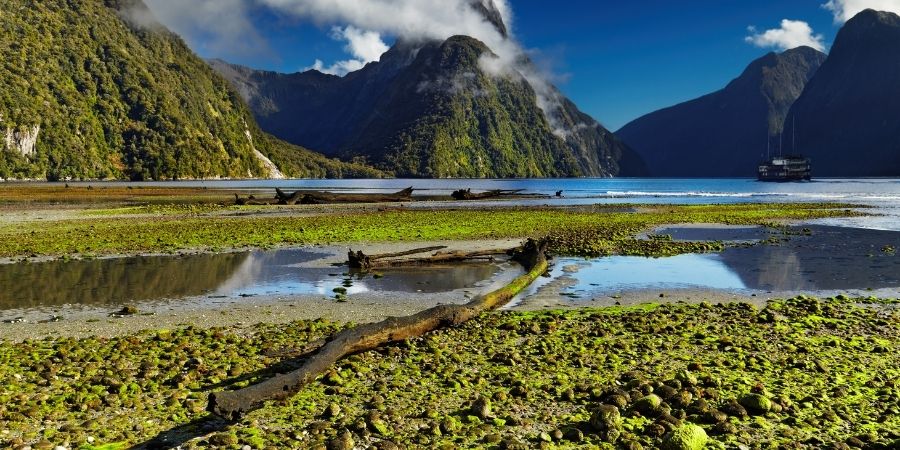paisajes hermosos NZ