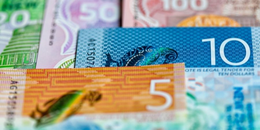 Billetes de dolares neozelandeses indicativo del costo de los cursos en Unique New Zealand