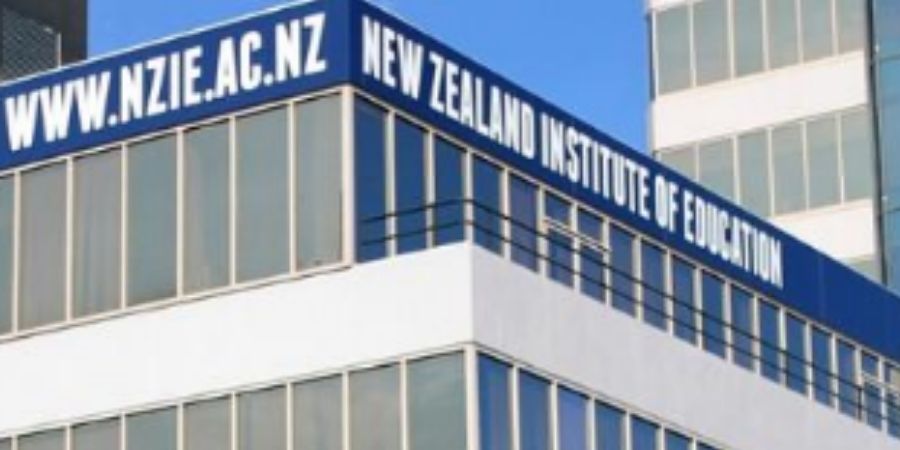 Instituto NZIE