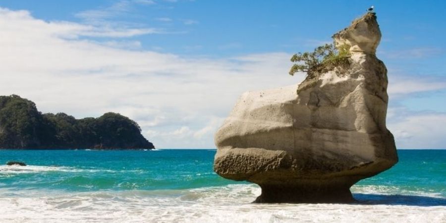 Cathedral Cove Playa Que ver en Nueva Zelanda 