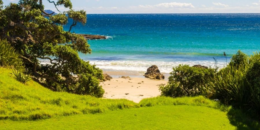 Una playa en NZ