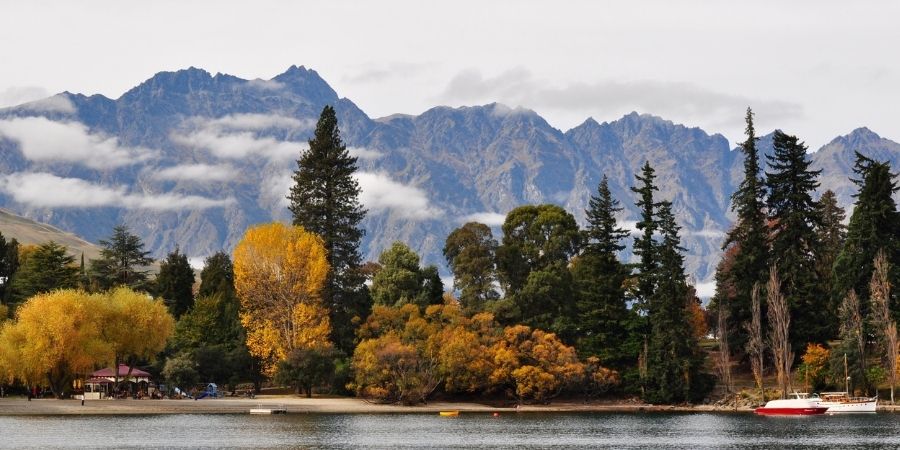 naturaleza bonita de NZ 