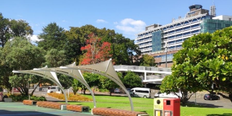 Universidad Tecnológica NZ 